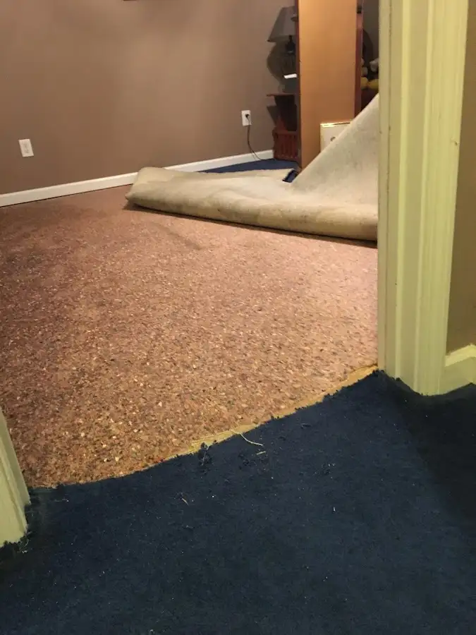 Carpet pad removal revealing water damage during Water Mitigation Services in Carson City