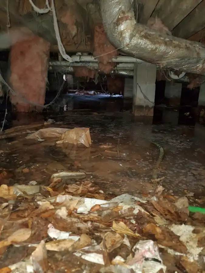 Crawl space flood assessment for Leak Detection & Repair in Carson City