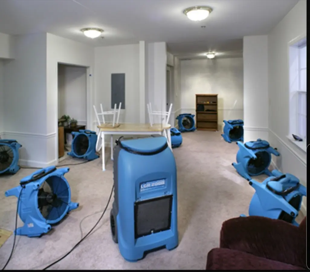 Air movers and dehumidifier setup for Water Extraction & Removal in Carson City
